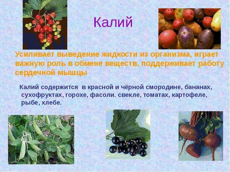 Что вымывает калий из организма. Выведение калия из организма. выводят калий из организма. калий выводит жидкость. продукты выводящие калий из организма.