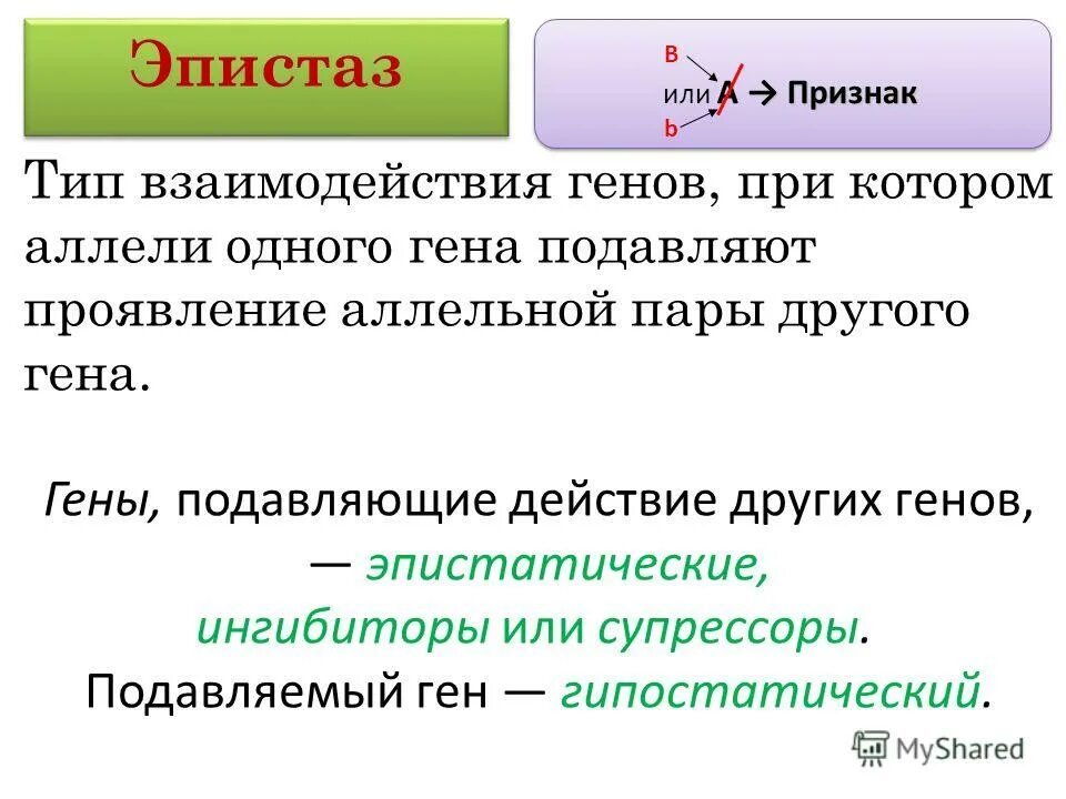 Ген подавляемый другим аллельным геном. Эпистаз Тип взаимодействия. Эпистаз Тип взаимодействия генов. Эпистатический и гипостатический ген. Эпистатическое действие генов.