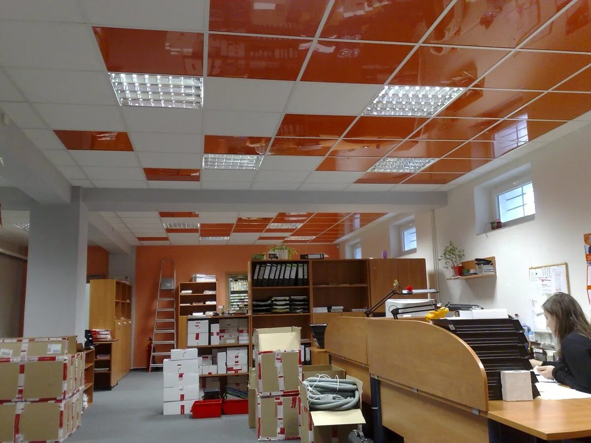 армстронг потолок в тц. бутик потолков. потолок в магазине. грильято светильники 50ммх50мм. потолки в магазинах фото.