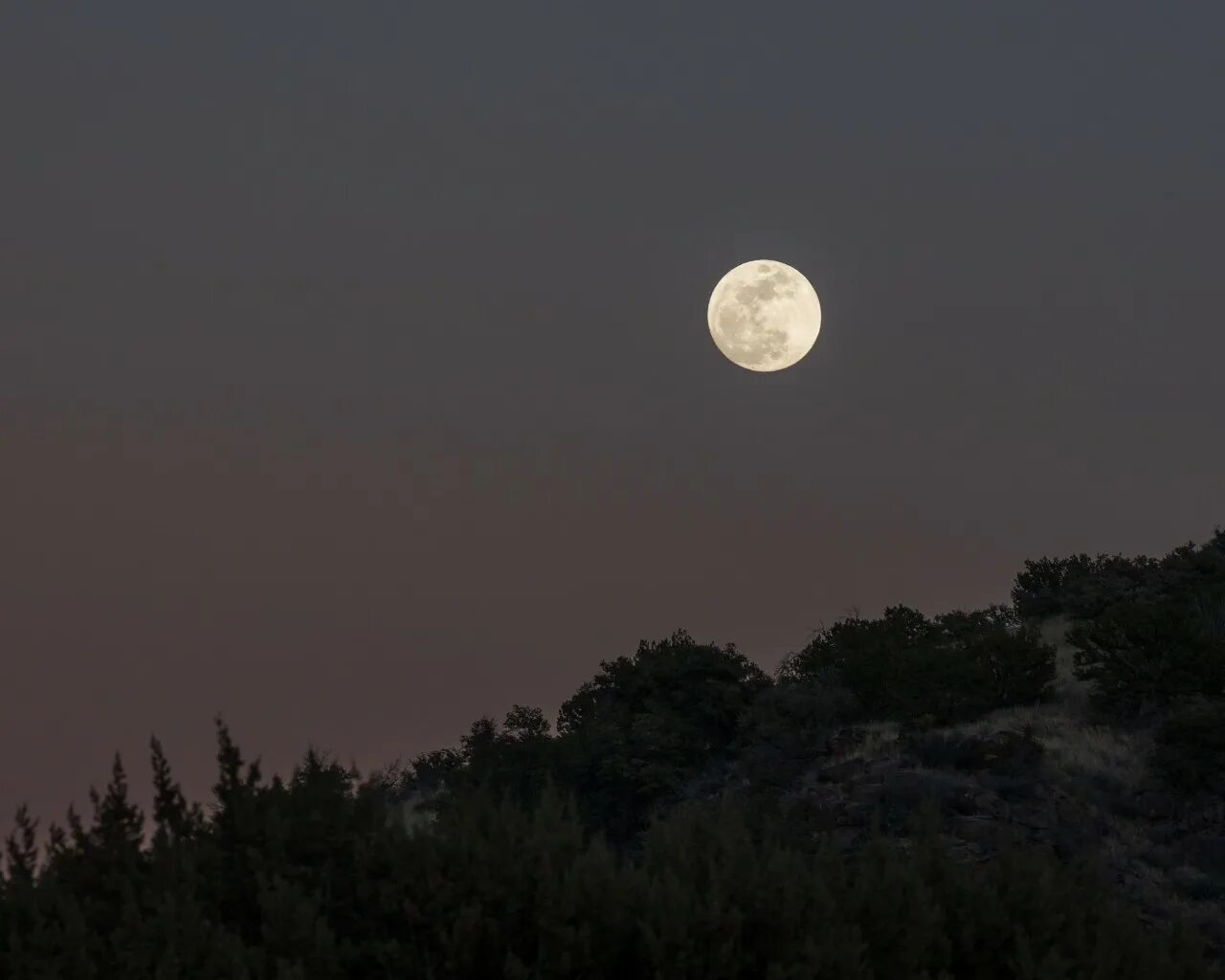 Светлый перед луны. Луна. Фото Луны. Полная Луна. Полнолуние.