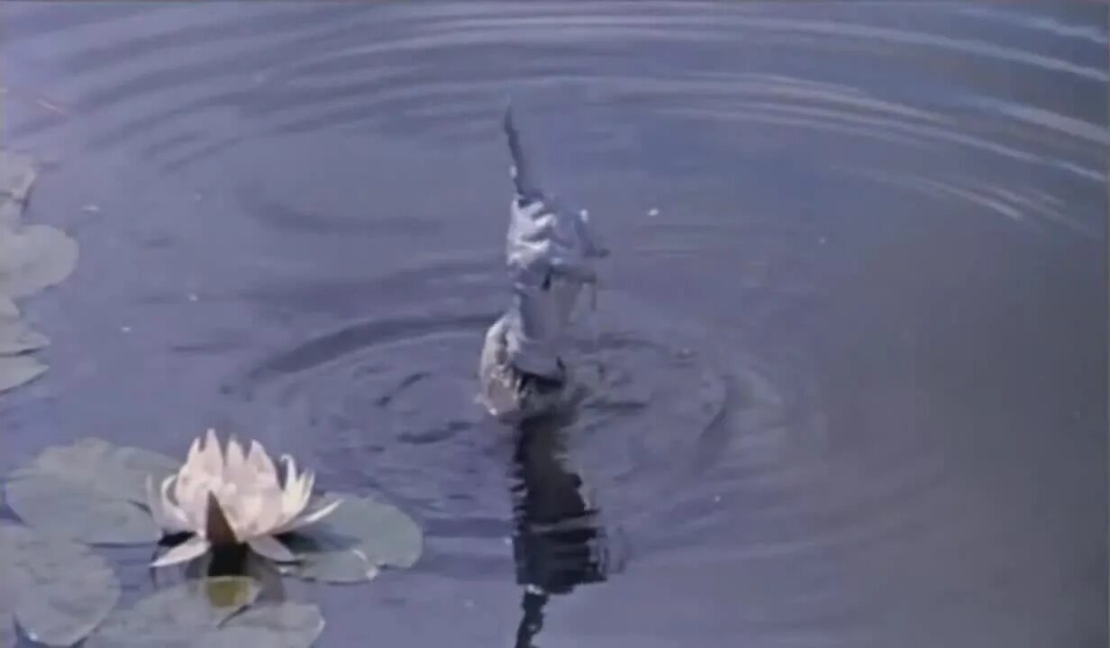 Должок видео. Сказка должок из колодца.