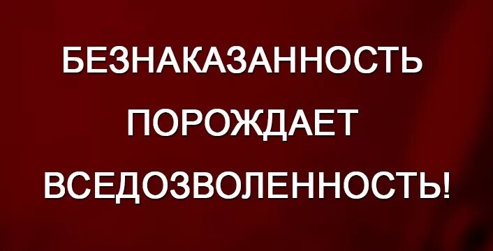 Безнаказанность порождает вседозволенность. Безнаказанность рождает беззаконие. Безнаказанность порождает вседозволенность порождает беспредел. Цитаты про безнаказанность.