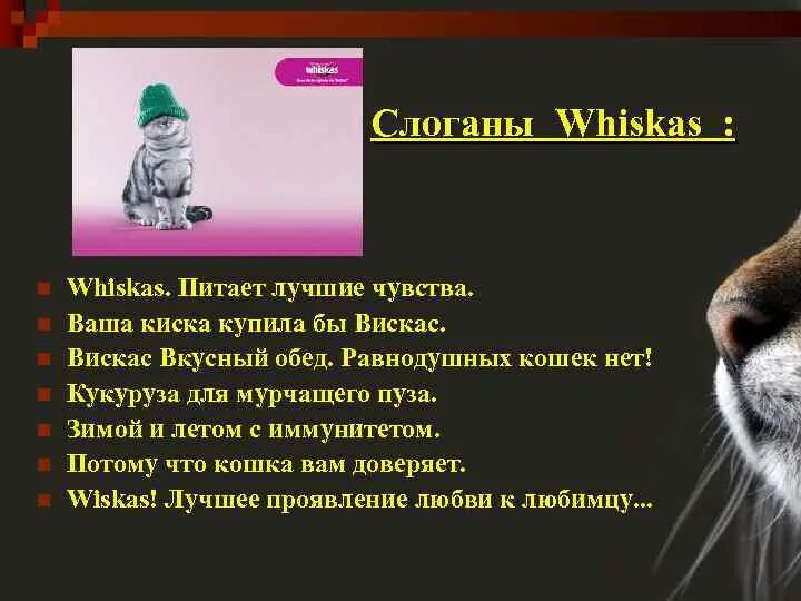 Ваша купила бы вискас. Слоган вискас. ваша киска купила бы вискас. рекламный слоган вискас. ваша киска купила бы whiskas.
