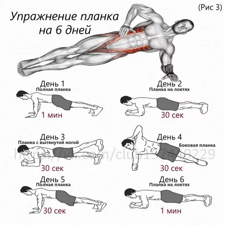 Делать данное упражнение на. Планка 5 минутный комплекс для мужчин. схема тренировки планки. стойка планка для похудения для начинающих. упражнение планка для пресса.