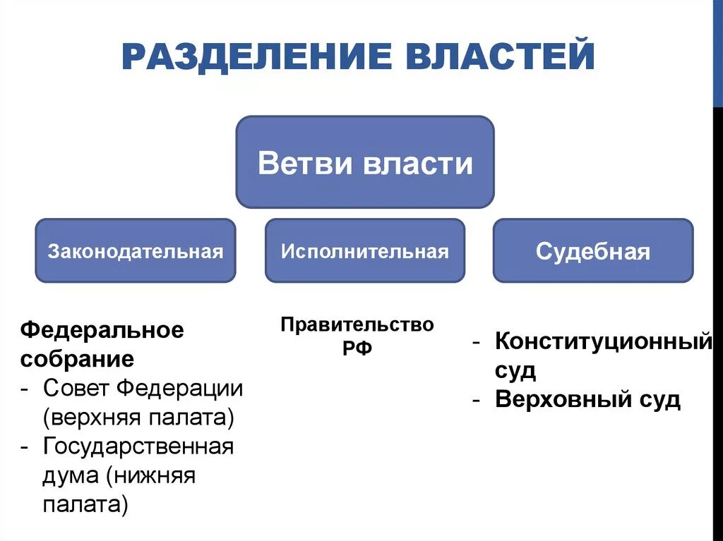 1 из ветвей власти в демократическом государстве