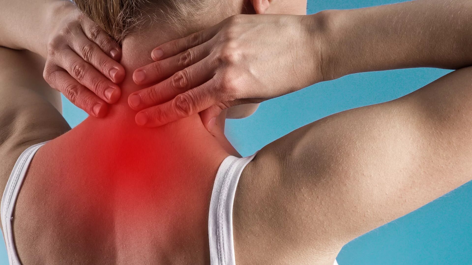 мышцы шеи и воротниковой зоны анатомия. мышцы шеи болят и тянут.