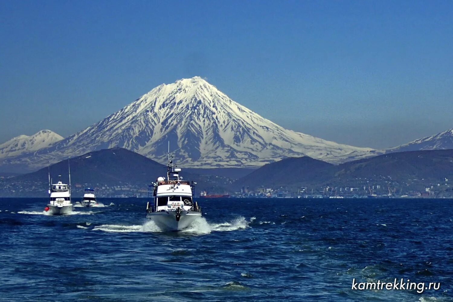 Морская камчатка фото