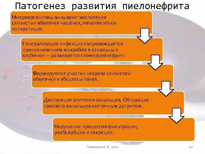 Пиелонефрит механизм развития патофизиология. Патогенез острого пиелонефрита схема. Патогенез хронического пиелонефрита схема. Патогенезптелонефрита.