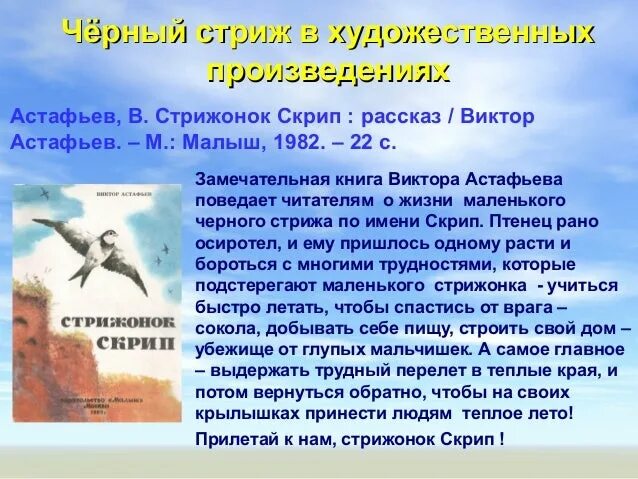 Отзыв о скрипе 4 класс. Стрижонок Стриж. Кратко о Стрижах. Научная информация о Стрижах. Доклад-сообщение о Стрижах.