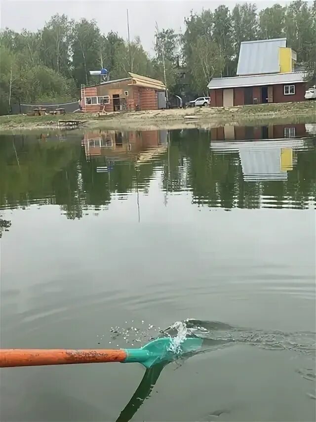 Ольха сугояк. Ольха сугояк. Волна озеро сугояк. Ольха сугояк. Ольха сугояк.