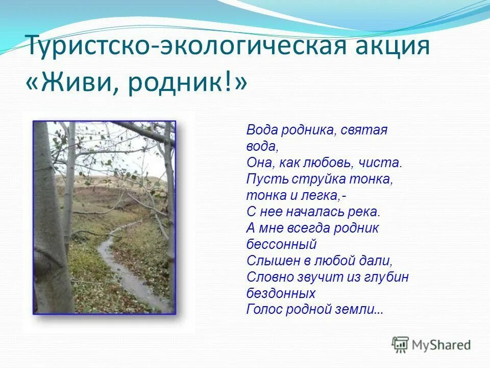 Откуда вода в родниках. Родник стих. Презентация Родники. Живи Родник. Презентация на тему живи Родник.