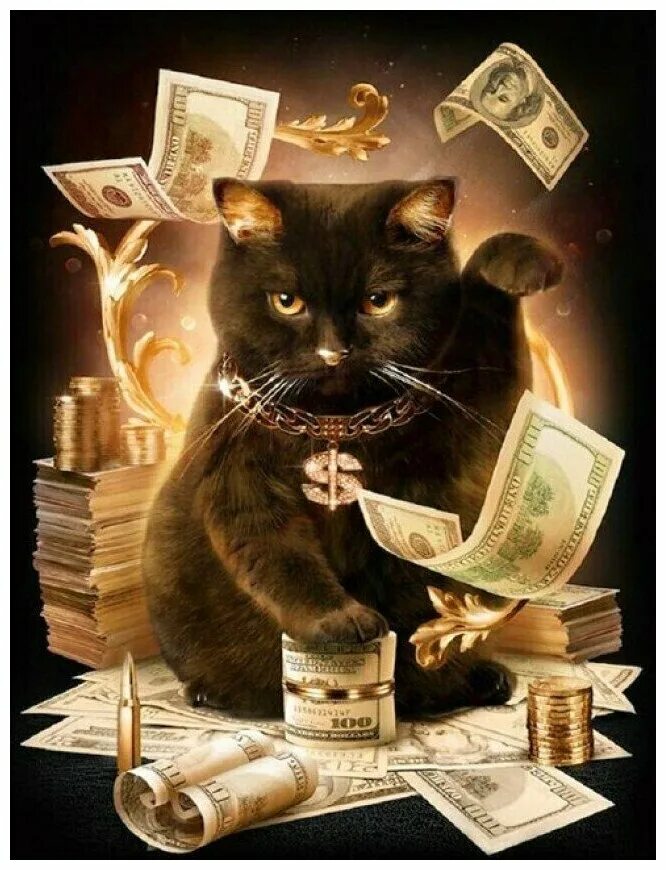 День денег. День денежного кота. Коты с долларами. День денежного кота. Праздник денежного кота.
