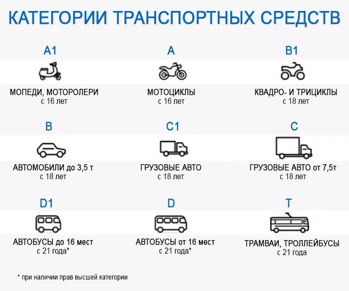 Водитель легкового автомобиля категория. Украинские категории водительских прав. Расшифровка новых категорий
