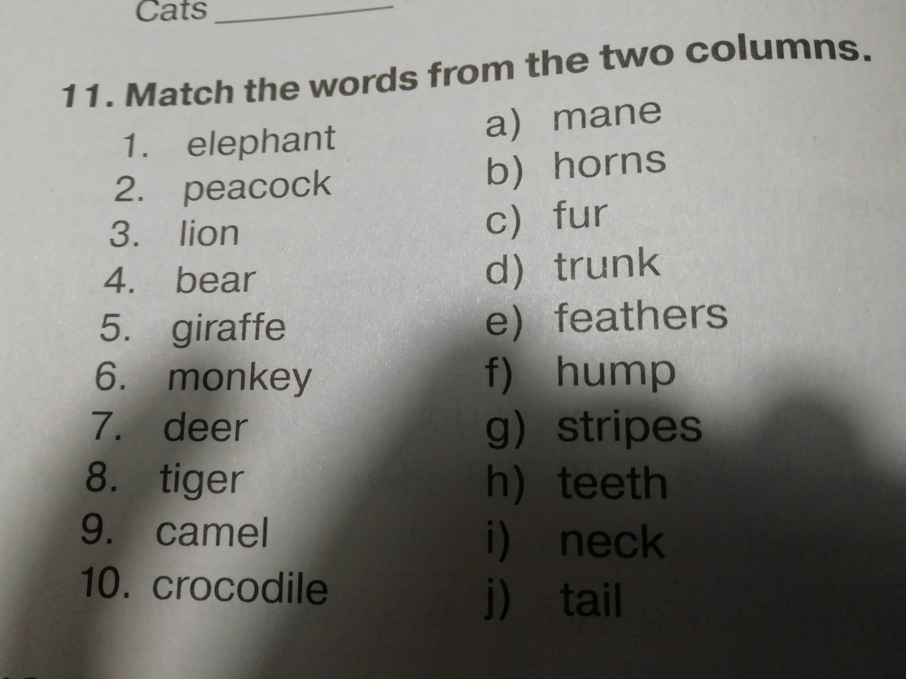 Match the words fun. Задания Match the Words. Match the Words from the two columns. Match the Words from the two columns 6 класс. Match the two columns.