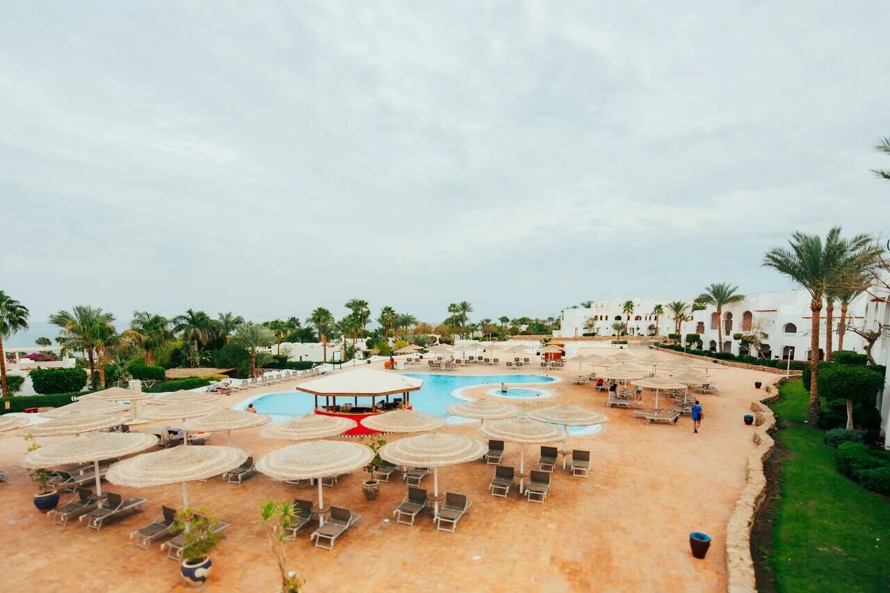 Domina coral bay harem 5 египет шарм-эль-шейх. Domina coral bay harem junior suite. Domina harem 5 шарм эль шейх. Sharm el sheikh domina coral bay harem deluxe 5*. Domina harem 5 шарм эль шейх.