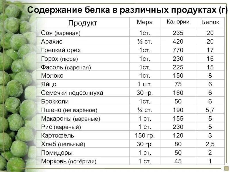 Продукты содержащие белки таблица. Содержание белка в продуктах. Таблица продуктов с высоким содержанием белка. Продукты по содержанию белка таблица.