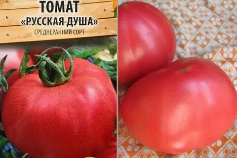 Томат душа