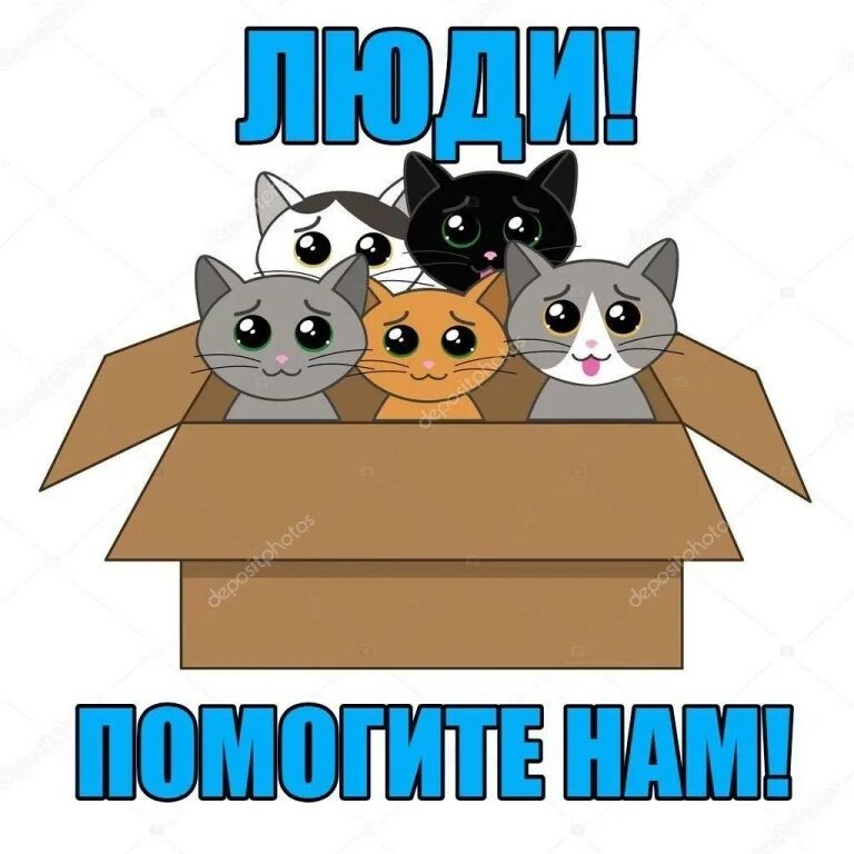 Мама помоги котенку