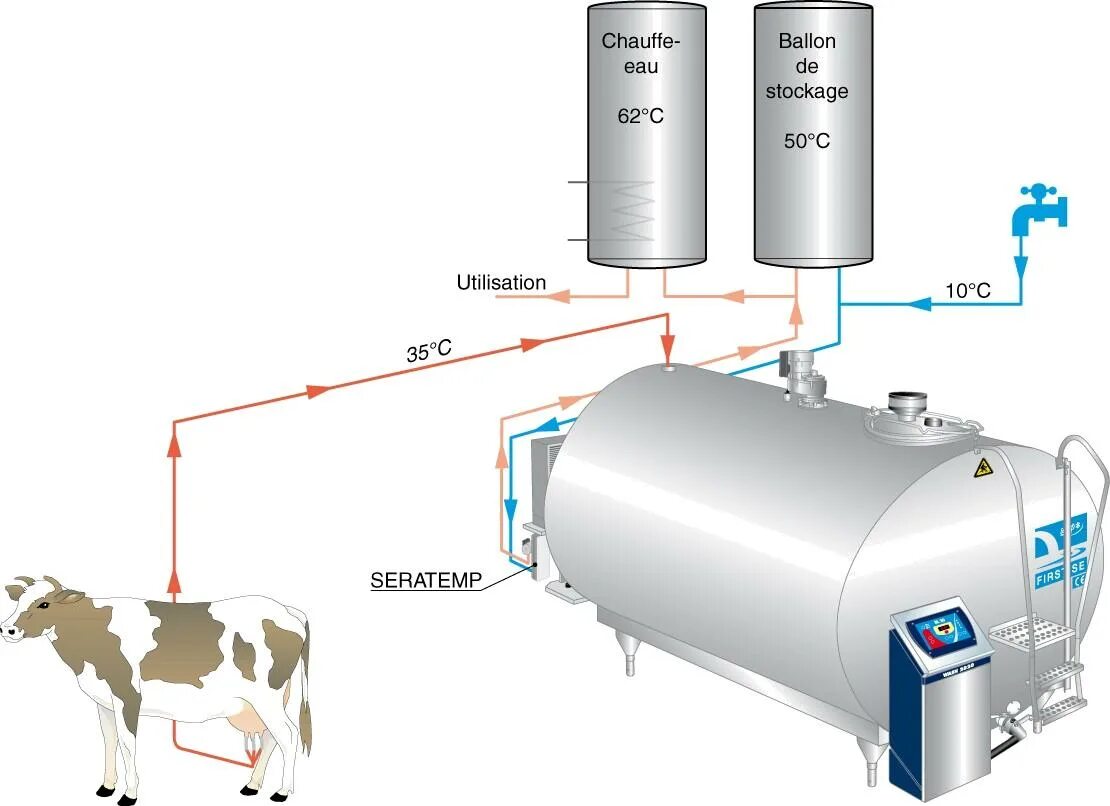 кусок торта молочная девочка. молочные продукты для детей. торт молочная девочка со сметанным кремом. торт молочная девочка в разрезе. молоко для детей.