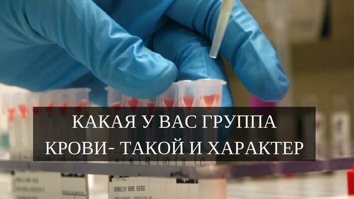 Группа крови и характер. Характер человека по группе крови. Какая у вас группа крови. Влияние группы крови. 1 группа крови характер