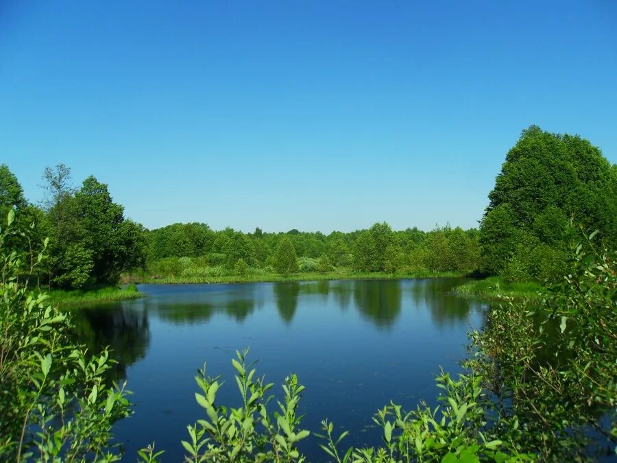 борское самарская область. деревня оголихино. деревня оголихино борский район. поселок керженец нижегородская область борский район. осиповка борский район самарской.