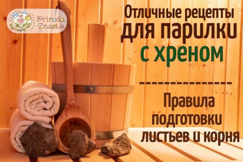 Рецепты для бани домашние. Настой для бани и сауны. хрен для бани. баня настойки. баня в хреновом.