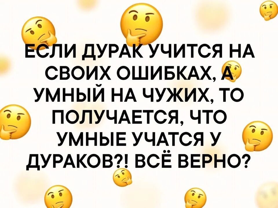 Умный учится на чужих ошибках дурак. Учиться на ошибках других. Высказывания о дураках. Умные учатся у дураков. Жизнь с дураком.