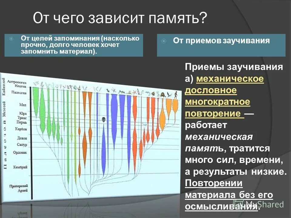 Насколько прочный. От чего зависит память. От чего зависит память человека. От чего зависит заучивание. От чего зависит запоминание.