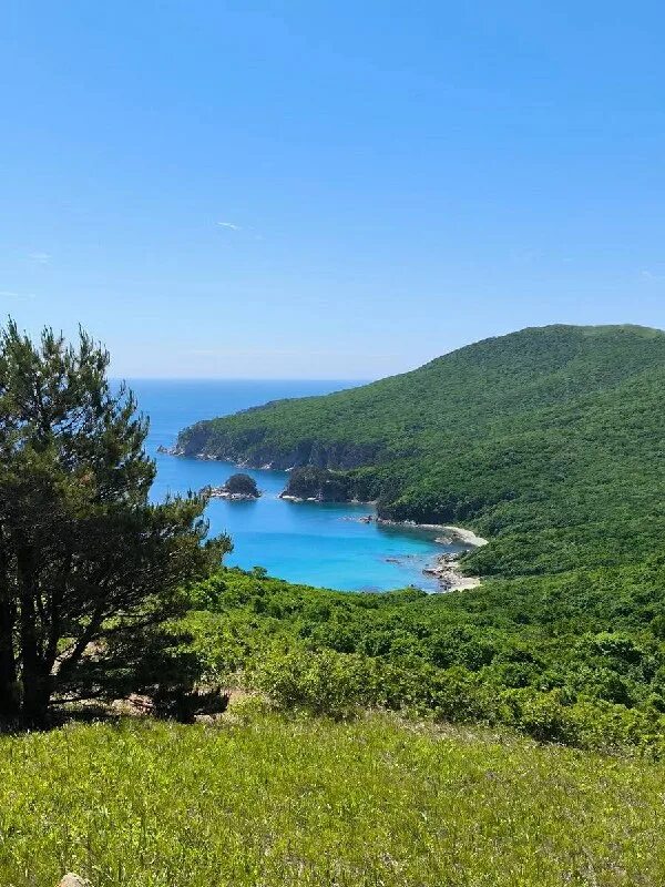 Движение приморье. Движение приморье. Движение приморье. Движение приморье. Движение приморье.