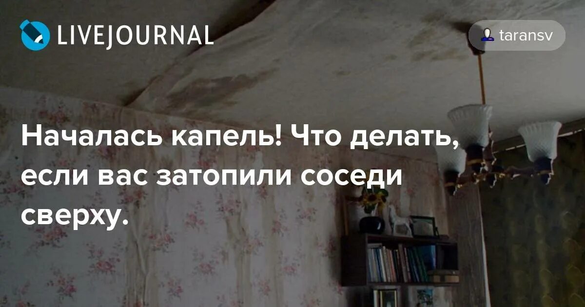 Затапливают квартиру соседи. Если вас затопили соседи. Что делать если вас затопили. Постоянно затапливают соседи сверху. Если вас топят соседи сверху что делать.