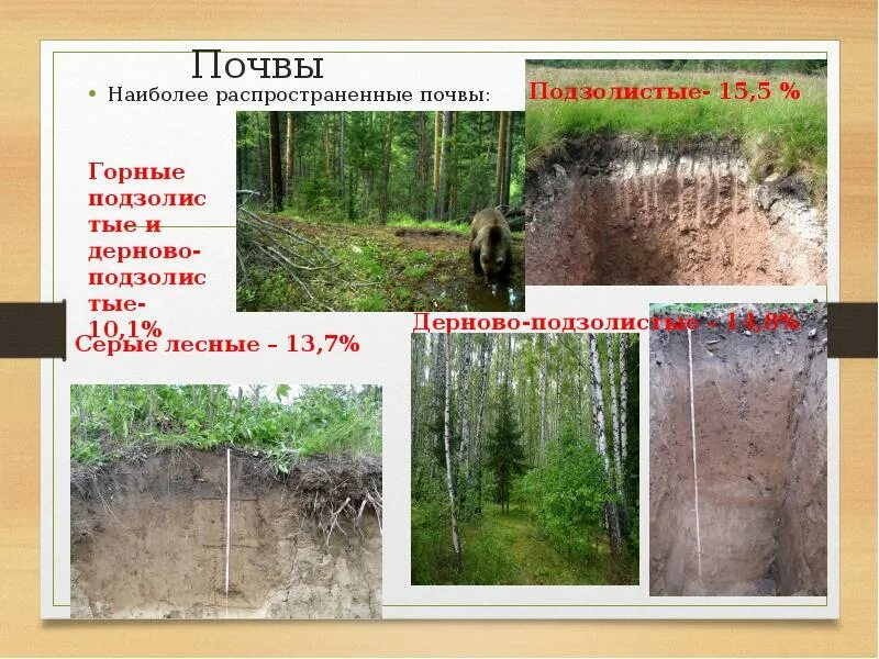 Почвы Свердловской области 4 класс. Основные характеристики почвы Свердловской области. Основные типы почв Свердловской области. Карта грунтов Свердловской области. Почвы уральского экономического района