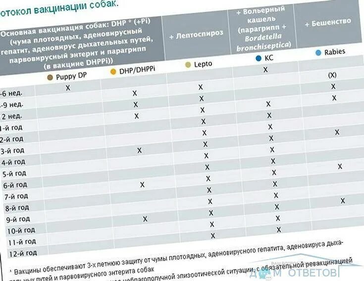 В каком возрасте делают прививку от бешенства