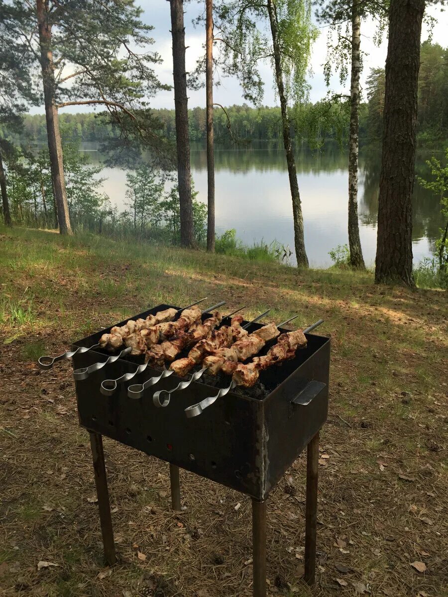 Шашлыки на природе. Мангал на природе. Шашлык на мангале. Пикник шашлык на природе. Можно ли шашлыки на природе