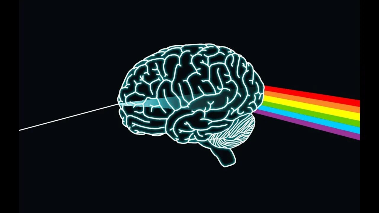 Brain the action