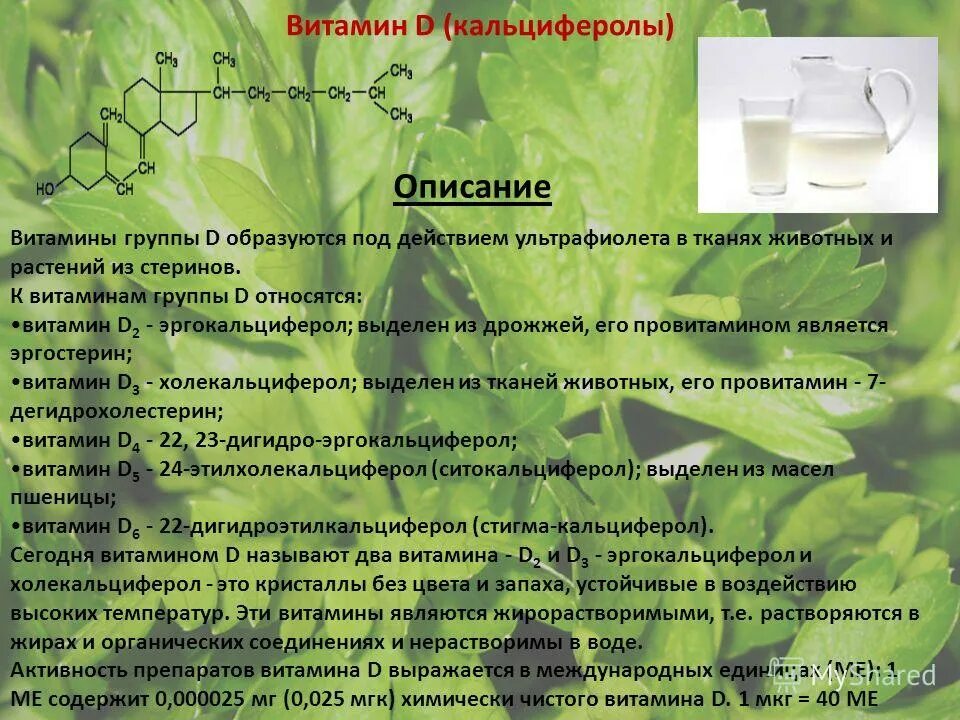 Витамины группы в инструкция по применению взрослым. Витамины описание. Описание витаминов группы в. Травы и витамины. Витамины группы д образуются из.