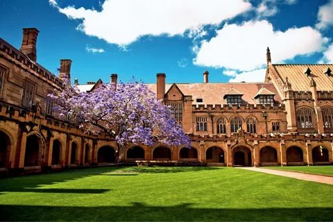 Main university