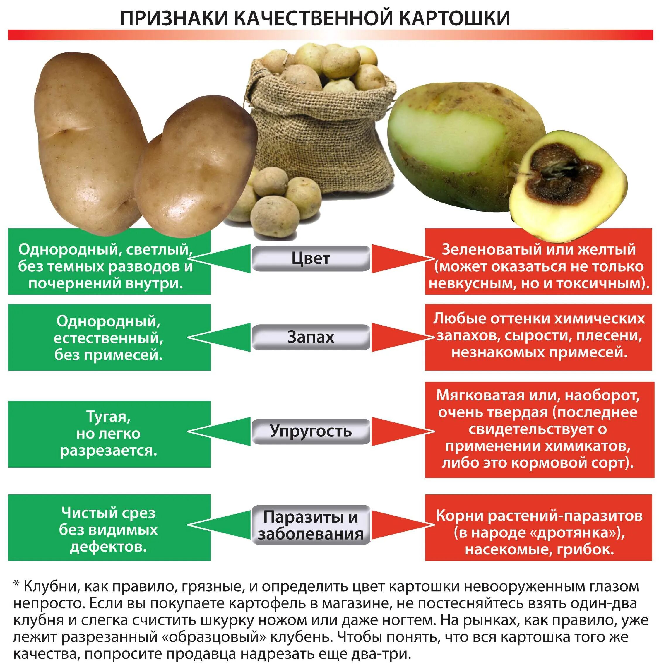 Есть ли вода в картошке. Картофель полезен для организма. Полезные вещества в картошке. Польза картофеля. Как выбрать картофель.