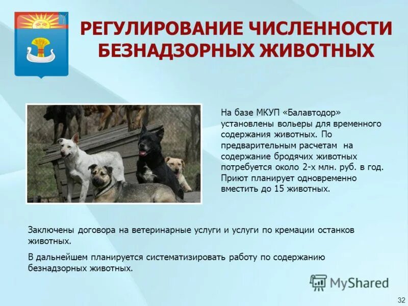 Регулирование чисел. Регулирование численности безнадзорных животных. регулирование численности. служба регулирования численности домашних животных. фцп регулирование численности бездомных животных.