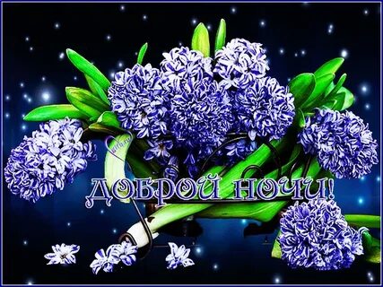 Открытки доброй весенней ночи