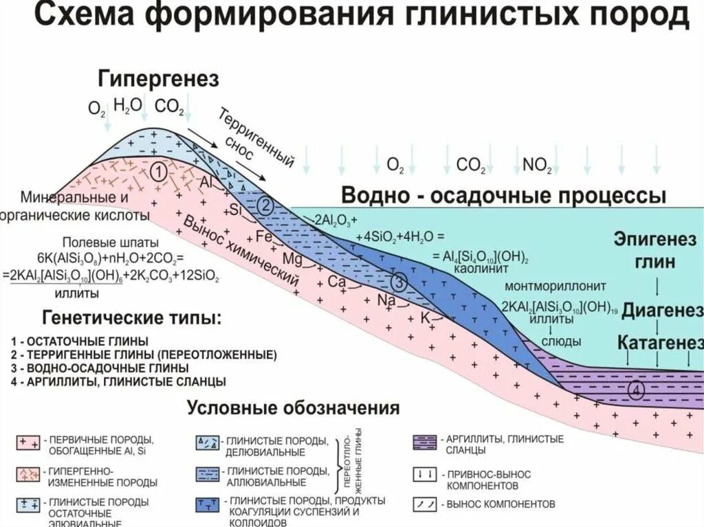 Генезис месторождения. Образование глины схема. Схема образования осадочных пород. Схема образования осадочных горных пород. Процесс формирования осадочных горных пород.