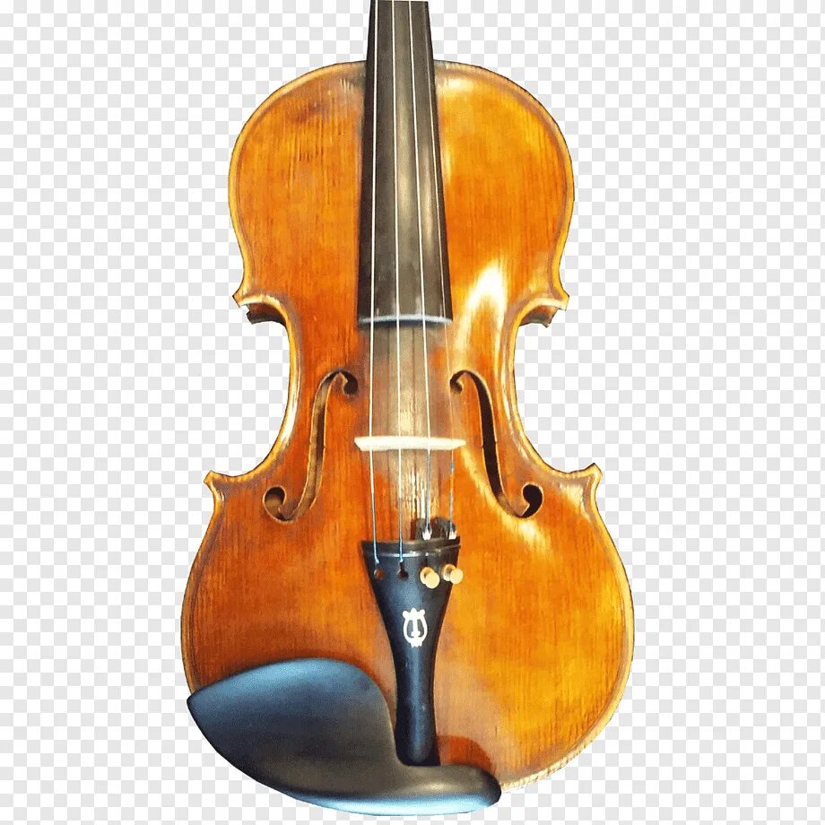 Музыка контрабас и скрипка. Виола и контрабас. Виолоне муз инструмент. Виола виолончель контрабас. Басс скрипка.