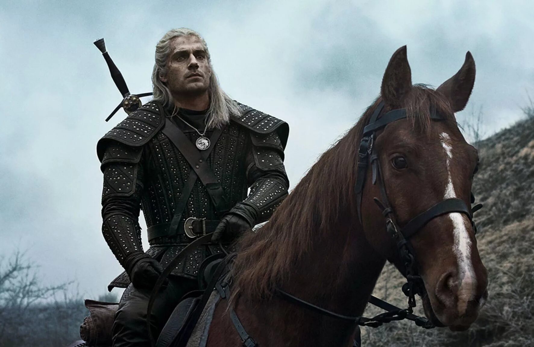 The witcher series. The witcher series