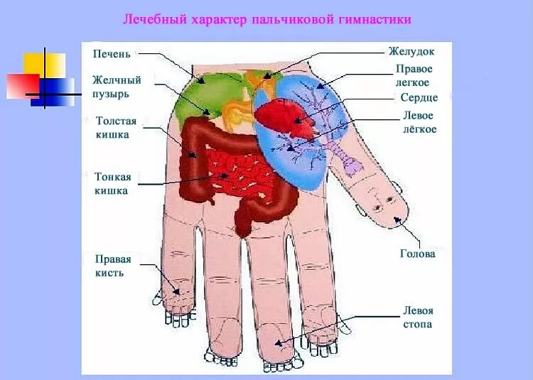 Точки соответствия на стопе су джок. Пальчиковая гимнастика су джок для детей. Точки для развития речи. Точечный логопедический массаж. Точки для развития речи.