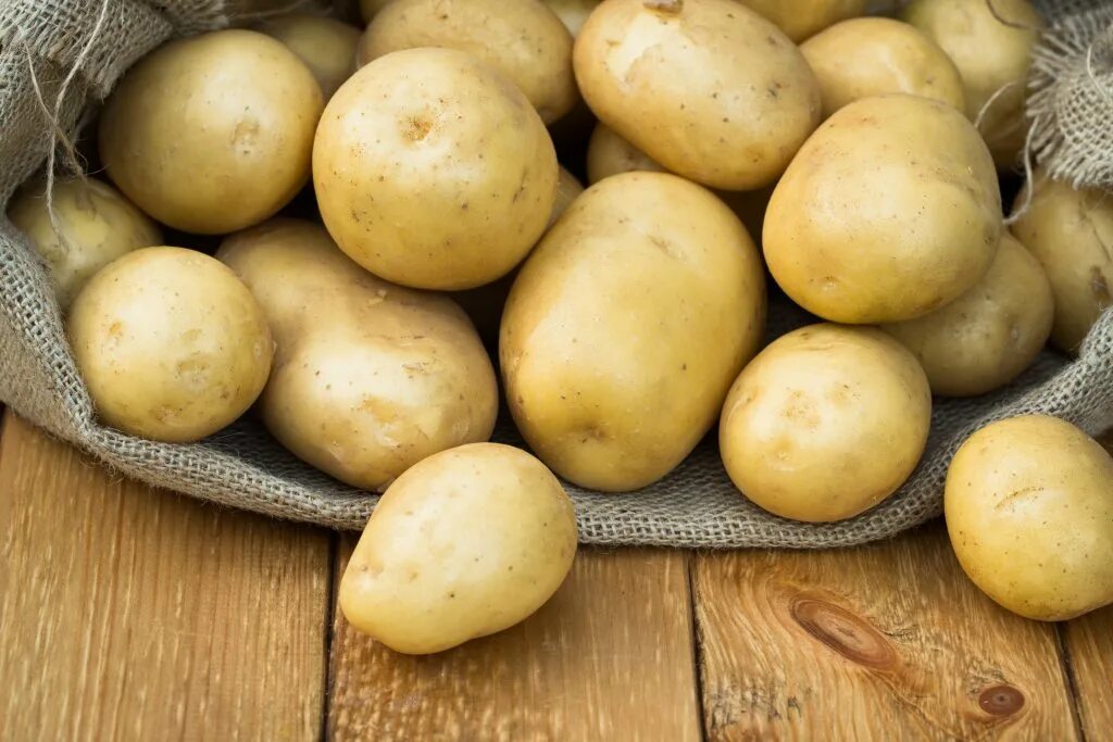 Какие семена картошки. Белорусский сорт картофеля скарб. Сорт картофеля скарб. Айвори рассет картофель. Скарб элита картофель.