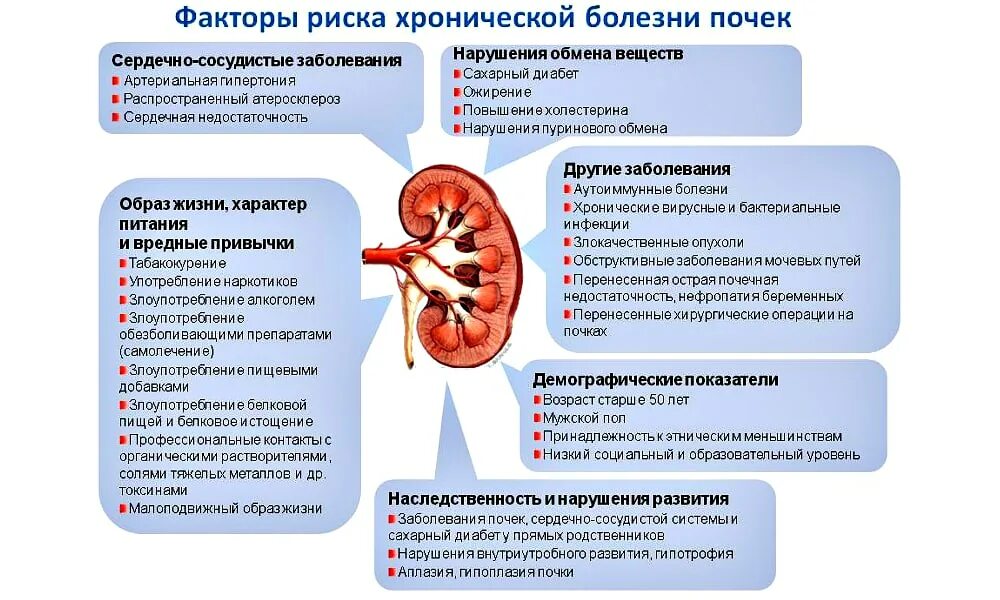 Хронический пиелонефрит факторы риска развития заболевания. Хроническая болезнь почек факторы риска. Факторы риска почечной недостаточности. Факторы риска возникновения пиелонефрита.