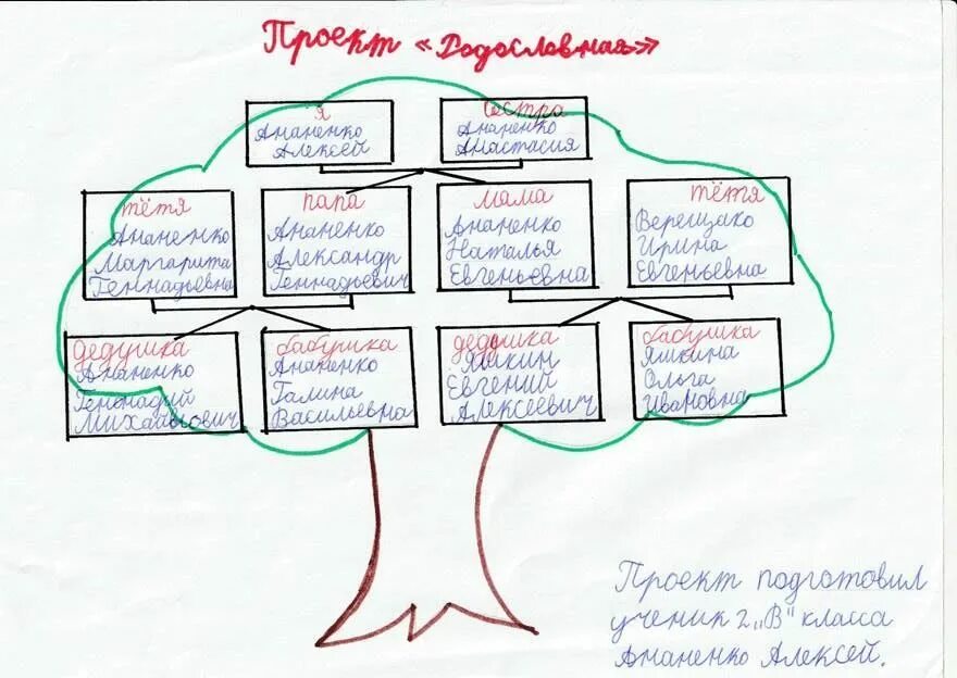 Нарисовать семейное древо 2. Генеалогическое Древо рисунок в школу. Генеалогическое Древо нарисовать. Нарисовать семейное дерево. Как нарисовать дерево семьи.