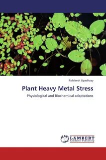 Heavy plant