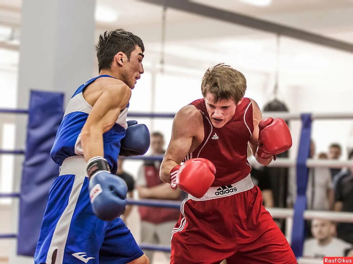 моды на мелан сан бокс