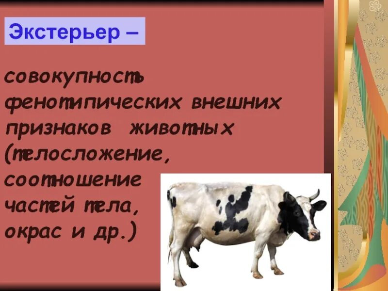 Селекция животных экстерьер. Особенности селекции животных. оценка по экстерьеру. экстерьер сельскохозяйственных животных. экстерьерная оценка коров.