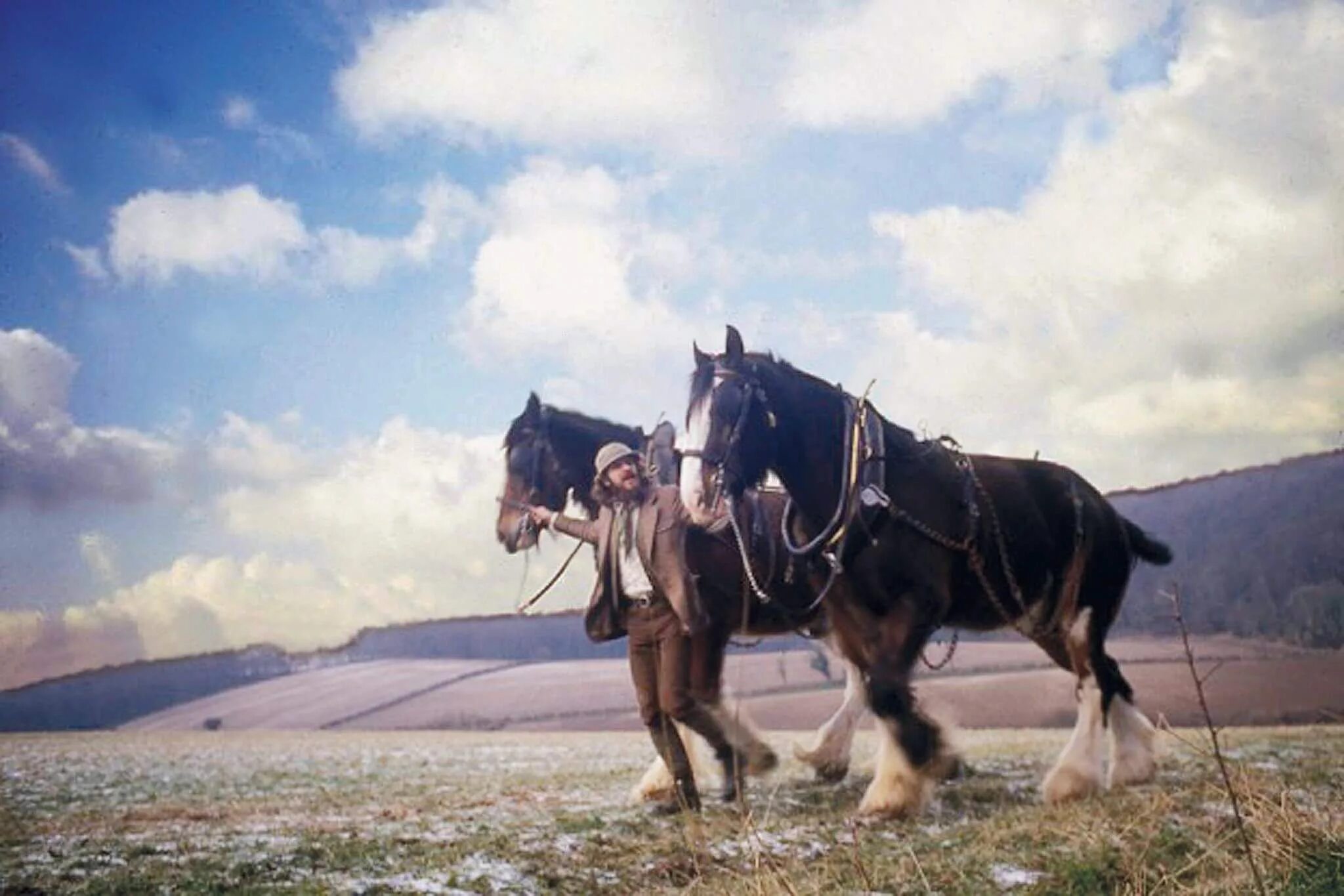 Heavy horses. Jethro Tull – Heavy Horses. Jethro Tull 1978. Jethro Tull Heavy Horses 1978. Jethro Tull Heavy Horses album.